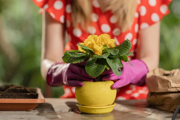 Une Jardinière Aspire Sol Dans Pot Fleurs Une Jeune Femme — Photo
