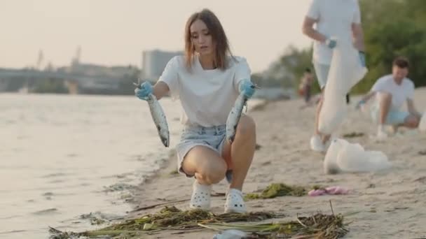 Gruppe Von Öko Aktivisten Säubert Müll Der Natur Großaufnahme Eines — Stockvideo