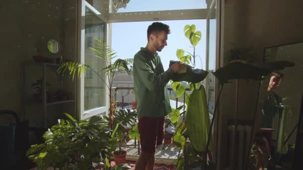 Florist Arbetar Botanisk Trädgård Trädgårdsmästare Väljer Blomma Växthusarbetare Kontrollerar Gröna — Stockvideo
