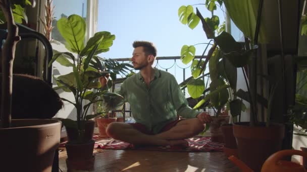 식물원에서 검사하는 노동자를 선택하는 정원사 원예를 돌보는 아라비아 식물학자 — 비디오