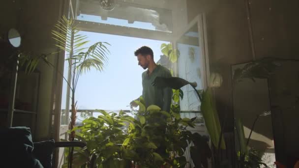 Bloemist Werkzaam Botanische Tuin Tuinier Kiezen Bloem Kas Werknemer Controleren — Stockvideo