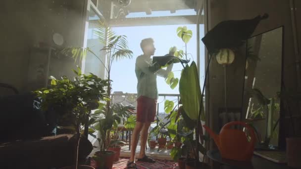 在植物园工作的花匠 园艺师采花 温室工人检查绿叶 阿拉伯植物学家 负责植物 树叶质量控制 高质量的 — 图库视频影像