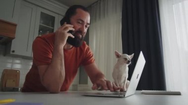 Evde dizüstü bilgisayarla konuşan yakışıklı bir adam. Ev sahibi ve laptop ekranına bakan komik köpeği. İnternette evden çalışmak, uzak bir iş. Yüksek kalite 4k görüntü