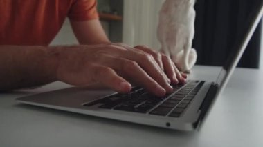 Ev bilgisayarında yakışıklı bir iş adamı tipi var. Komik evcil köpeği başka tarafa bakıyor ve bekliyor. İnternette evden çalışmak, uzak bir iş. Yüksek kalite 4k görüntü