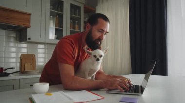 Ev bilgisayarında yakışıklı bir iş adamı tipi var. Komik evcil köpeği başka tarafa bakıyor ve bekliyor. İnternette evden çalışmak, uzak bir iş. Yüksek kalite 4k görüntü