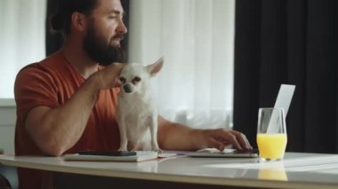 Yetişkin ve mutlu bir adam dizüstü bilgisayarda çalışır ve aynı zamanda küçük sevimli köpeğini okşar, köpek onun yüzünü yalar. Evcil hayvanıyla internetten çalışan serbest çalışan bir adam. Yüksek kalite 4k görüntü