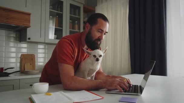ハンサムなビジネスマンは 自宅のオフィスでラップトップにタイプします 彼の面白いペット犬が遠ざかって待っている インターネットで自宅で働くオンライン 遠い仕事 高品質の4K映像 — ストック動画