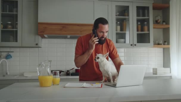 Schöner Mann Der Hause Laptop Telefoniert Sein Lustiger Vierbeiner Schaut — Stockvideo
