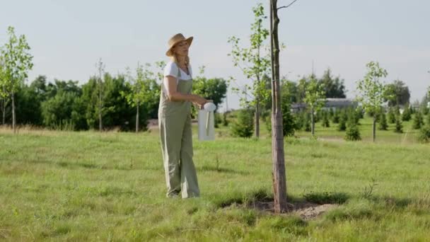 一位中年妇女在沼泽地里干活 一位女园丁检查种植的树的生长过程 并从浇灌罐中浇灌它 绿化地球和改善地球环境的概念 — 图库视频影像