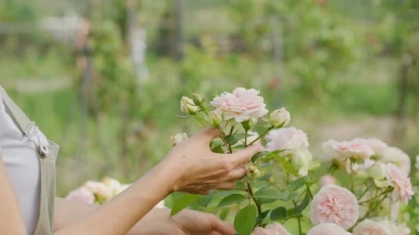 Profilde Çekici Orta Yaşlı Bir Kadın Çiçekleri Şefkatle Kokluyor Bir — Stok video