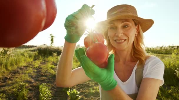 Eine Charmant Lächelnde Frau Mittleren Alters Baut Gemüse Und Kontrolliert — Stockvideo