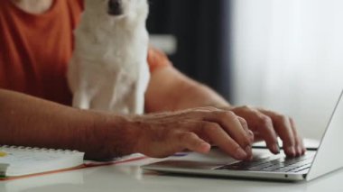 Yetişkin ve mutlu bir adam dizüstü bilgisayarda çalışır ve aynı zamanda küçük sevimli köpeğini okşar, köpek onun yüzünü yalar. Evcil hayvanıyla internetten çalışan serbest çalışan bir adam. Yüksek kalite 4k görüntü