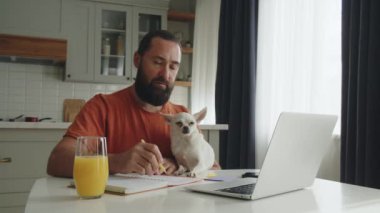 Ev bilgisayarında yakışıklı bir iş adamı tipi var. Komik evcil köpeği başka tarafa bakıyor ve bekliyor. İnternette evden çalışmak, uzak bir iş. Yüksek kalite 4k görüntü