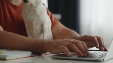 Ev bilgisayarında yakışıklı bir iş adamı tipi var. Komik evcil köpeği başka tarafa bakıyor ve bekliyor. İnternette evden çalışmak, uzak bir iş. Yüksek kalite 4k görüntü