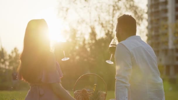 公園で赤ワインを飲んでいる若いかわいいカップル ピクニックやキス中にワイングラスを保持することを試す大人の愛好家 都市の森の背景に関する最初の日付 素晴らしい時間を過ごすキャリーフリーペア — ストック動画