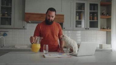 Gülümseyen genç, sakallı bir adam mutfakta duruyor ve evcil arkadaşını laptopun yanındaki masaya oturtuyor, beyaz bir chihuahua köpeği, ve onu okşuyor. Sevilen bir sahibi uzaktan çalışmaya ara verir.