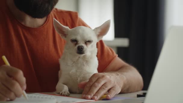 一个留着胡子的年轻人和他的宠物朋友 一只养着奇瓦瓦的白狗 坐在厨房里抚摸着它 创业者在抄本上做重要的笔记 靠近点看着摄像机Look Camera — 图库视频影像