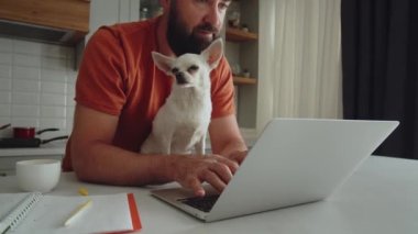 Genç sakallı bir adam evcil bir arkadaşıyla mutfakta duruyor, beyaz bir chihuahua köpeği, ve onu okşuyor. Girişimci dizüstü bilgisayar kullanır, evde uzaktan çalışır, iş yazışmaları yönetir ve...