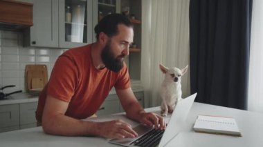 Genç, sakallı bir adam, bir evcil hayvanın, beyaz bir chihuahua köpeğiyle mutfakta yan yana durur ve onu okşar. Girişimci dizüstü bilgisayar kullanır, evde uzaktan çalışır, iş yapar.