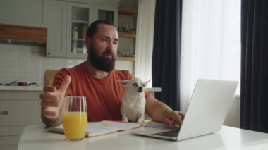 Genç sakallı bir adam, evcil bir arkadaşıyla mutfak masasında oturuyor, beyaz bir chihuahua köpeği, onu okşuyor, okumak ve iş yazışmaları yazmak için dizüstü bilgisayar kullanıyor. Çok sevilen bir sahip...