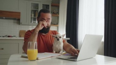 Genç sakallı bir adam, evcil bir arkadaşıyla mutfak masasında oturuyor, beyaz bir chihuahua köpeğiyle, iş yazışmaları ve uzaktan çalışma için dizüstü bilgisayar kullanıyor. Çok sevilen bir sahip de notlar yazar.