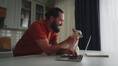 Mutlu, genç, sakallı, sakallı bir adam, evcil bir arkadaşıyla mutfakta duruyor, beyaz bir chihuahua köpeğiyle, okşuyor ve sevgiyle kollarına alıyor. Girişimci daktilo etmek için dizüstü bilgisayar kullanır