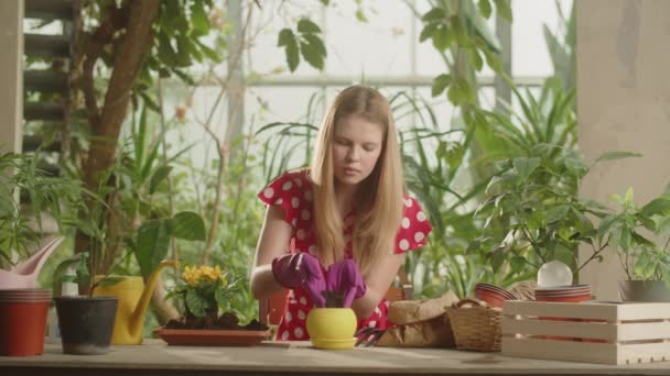 Una Donna Bionda Guanti Giardinaggio Terreno Poroso Vaso Fiori Giardiniere — Video Stock