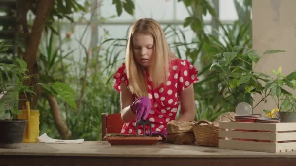 園芸用手袋の女性は 土を花器に入れ そこに種を植えます ポットに種を植えるブロンドの女の子 高品質4K映像 — ストック動画