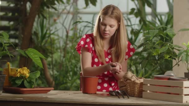 ブロンドの女性は肥料で土を花器に入れます 温室に花を植える赤い水玉模様のドレスを着た女性庭師 高品質4K映像 — ストック動画
