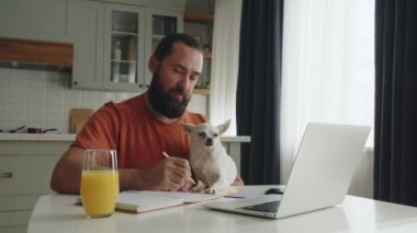 Genç sakallı bir adam, evcil bir arkadaşıyla mutfak masasında oturuyor, beyaz bir chihuahua köpeğiyle, laptopunu kullanarak yararlı bilgileri araştırıyor, bir deftere notlar yazıyor. Bir girişimci.