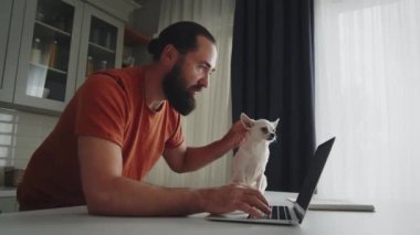 Hafif bir gülümsemesi olan sakallı genç bir adam, evcil bir arkadaşıyla mutfakta duruyor, beyaz bir chihuahua köpeği, ve onu okşuyor. Girişimci dizüstü bilgisayar kullanır, uzaktan evde çalışır ve...
