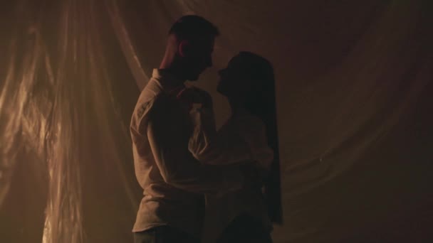 Zpomalený Záběr Siluety Bělošské Rodiny Objímající Blikajícím Světlém Pozadí Romantický — Stock video
