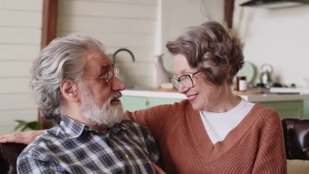 Felicidad Jubilatoria Sonrisa Matrimonial Romántico Marido Anciano Esposa Personas Felices — Vídeos de Stock