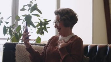 Video konuşmasında konuşan mutlu cep telefonu kullanıcısı heyecanlı, yaşlı gri saçlı kadın ve akıllı telefon kullanan adam. Yüksek kalite 4k görüntü