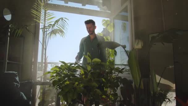 Florista Trabalhando Jardim Botânico Jardineiro Que Escolhe Flor Trabalhador Estufa — Vídeo de Stock