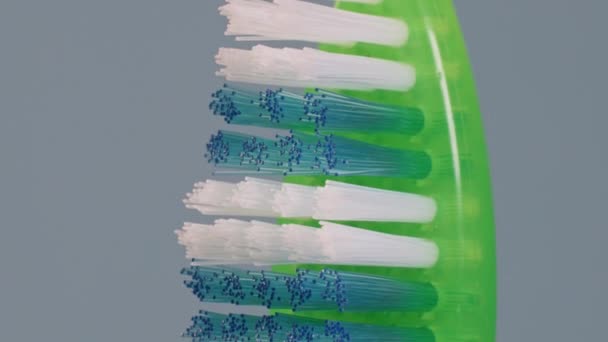 一种在垂直位置的明亮的三色牙刷的展示外壳 在灰色的背景上隔离 一种温和清洁和牙科护理产品的广告 每日健康生活方式的概念 — 图库视频影像
