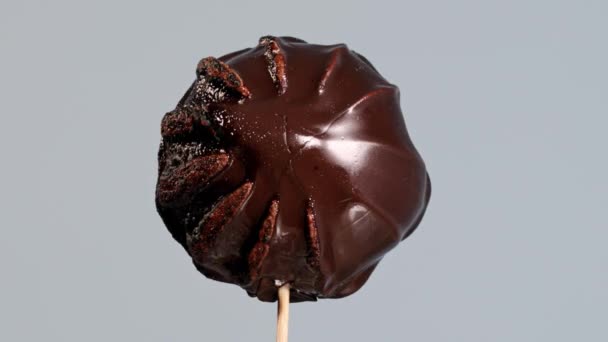 Ein Entzündeter Kleiner Schokoladenkuchen Oder Muffin Auf Ein Streichholzstäbchen Gelegt — Stockvideo