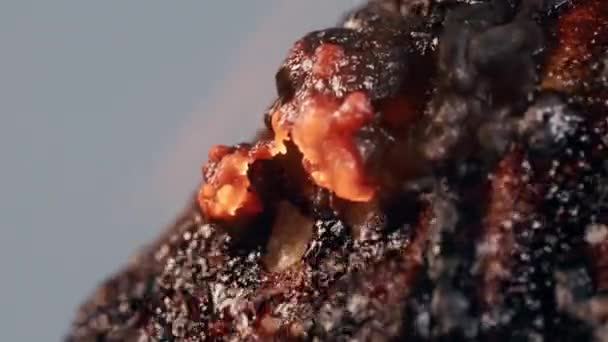 Zapálené Jídlo Hoří Rozpouští Plamenech Fouká Bubliny Vře Kouři Izolovaném — Stock video