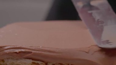 Mutfak kremi katmanlı tarta sürülüyor. Cilalı katmanlı turtayı kapat. Pastanın kenarlarına biraz daha vanilya sosu ekliyorum. Mükemmel bir tadı olan kakao bisküvisi yapıyorum. Yüksek kalite 4k görüntü