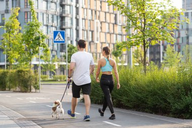 Genç bir atletik çift, sıcak bir yaz gününde evcil köpekleriyle birlikte parktaki bir kasabada geziyor. Etrafı renkli ve modern yerleşim yerleriyle çevrili. Tam bir egzersiz olarak yürüme konsepti