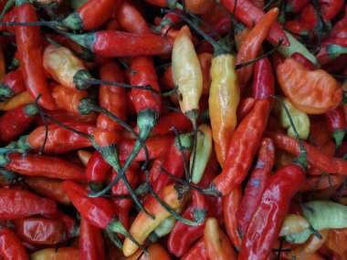 Olgun kırmızı biberlerin geçmişi. Kırmızı kırmızı kırmızı biber desenli arka plan. Kapatın. Markette kırmızı acı biber arkaplanı.