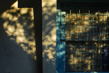 Soyut ağaçların dalları ve yaprak gölgeleri eski bir evin üzerinde. Penceredeki ağaçların gölgeleri, doğa arka planı. Geçmişten sakin bir anı. Romantizm kavramı arkaplan resmi.