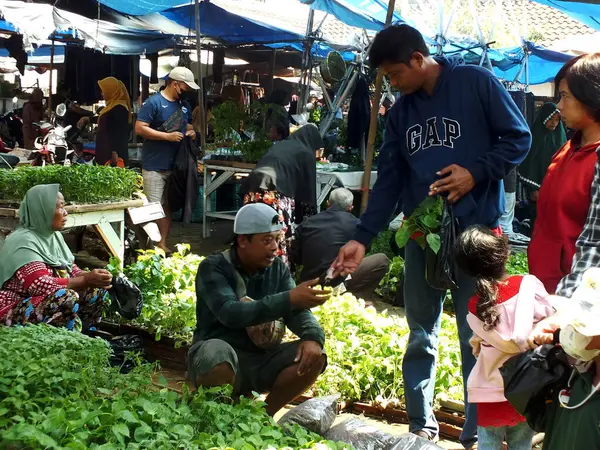 インドネシア セントラルジャワ スコーハルジョ 2024 忙しい人々 スラカルタシティの近くに位置ゴーコの伝統的な市場で売り手 — ストック写真