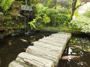 Bahçede balık havuzlu güzel manzara ve dekoratif yapay köprü ambiyans balık havuzunu sakinleştiriyor.