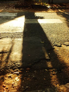 Kırık asfalt yolda büyük bir ağacın çapraz gölgesi belirdi. Gölgeler büyük ve karanlık. Yol yapraklarla kaplıydı ve birçok çatlağı vardı.