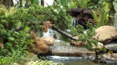 Kamu parkında güzel bir nehir ve şelale süsü. Doğa konseptine dönelim. 4k Video. 