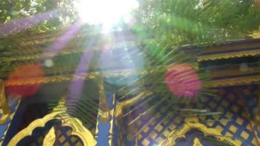 Düşük açılı tropikal yaprak. Eski binada güneş ışınları var.