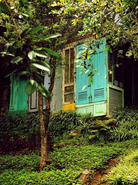 Önünde mavi panjurlar ve bir ağaç olan eski ahşap bir ev. Ev yeşil çimenler ve çalılarla çevrili.