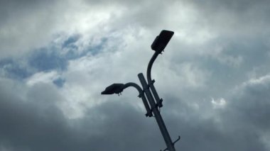 Gökyüzüne bakarken, gökyüzünde yuvarlanan çarpıcı kara bulutlar vardı. Şiddetli yağmur yakında gelecek.. 