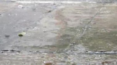 Şehirde sağanak yağmur, asfaltta yağmur damlaları. İklim değişikliği görüntüleri kampanyası ve felaket